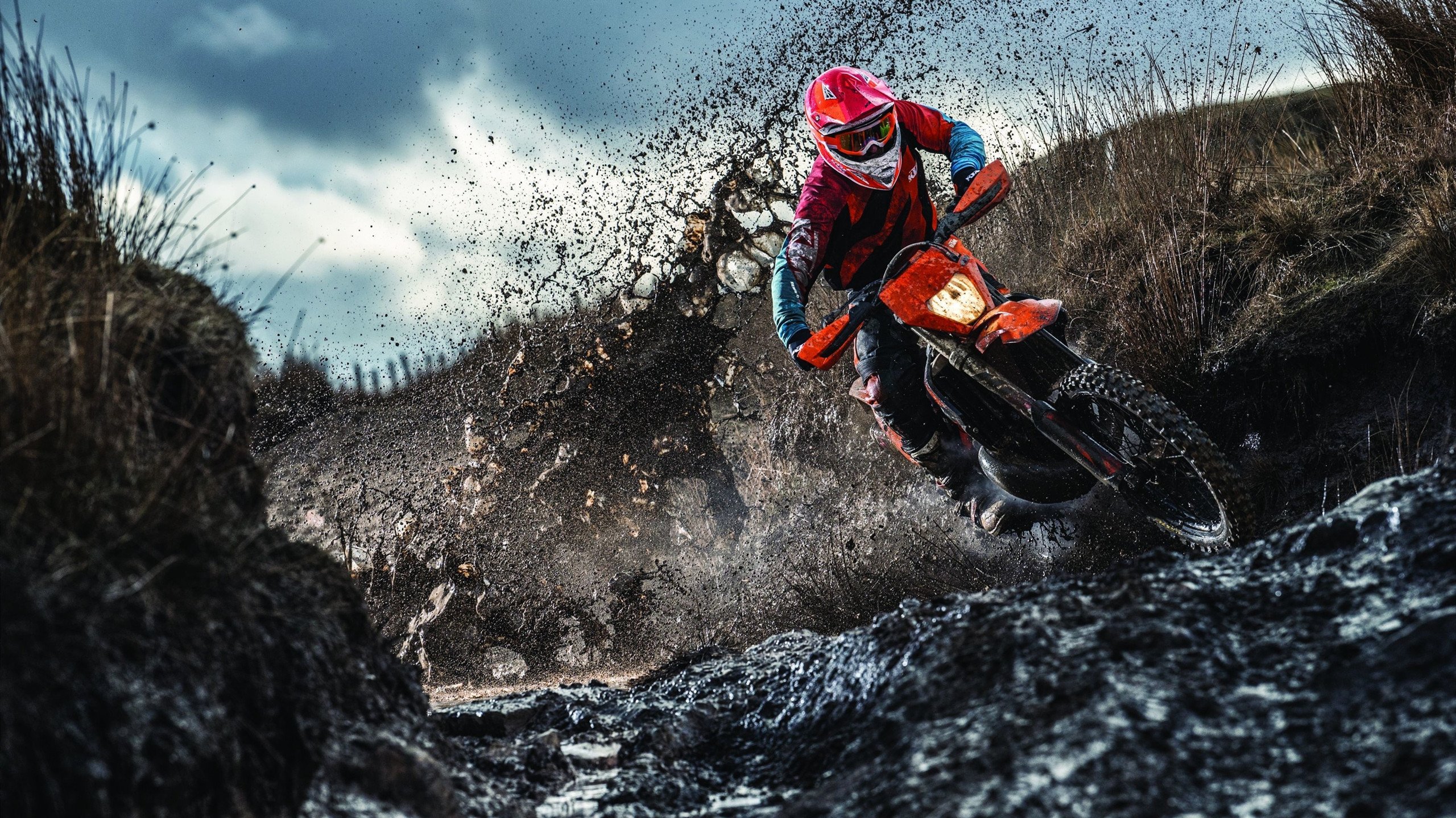 字母哥冠军级表现降维打击,活塞险胜浙江的背后是中国篮球的警钟